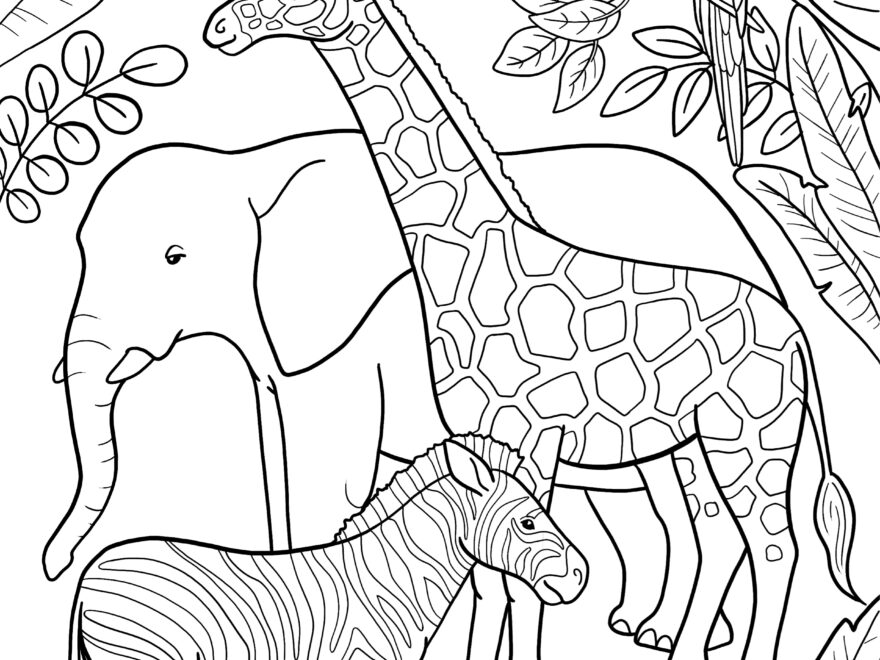 Zoo Animals Colouring In Activity Sheet Printables